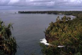 Densely vegetated coast of Tahiti