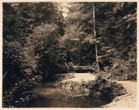 Stanley Park, Vancouver, British Columbia