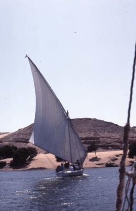 [Felucca]