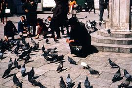 Woman feeding pigeons