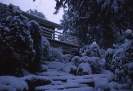 Snowy trees and steps and a porch of a house