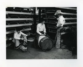 Jim Clifford, Lynn Jensen, Allan Thorpe