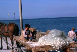 Child with fishing net