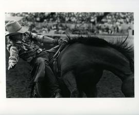 [Cowboy Riding a Horse]