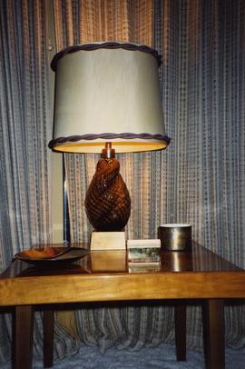 [Lamp on a table in what is likely the Snider's home]