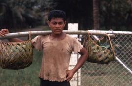 Man carrying a balancing stick on his shoulder with thatched baskets at each end