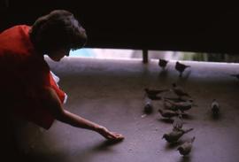 Phyliss Snider feeding birds