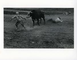 [Bull Chasing Rodeo Clown]