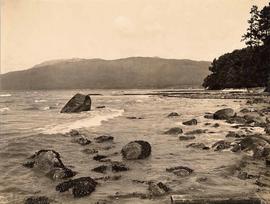 Shoreline, Stanley Park, Vancouver, British Columbia