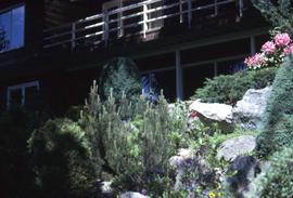 Garden with rocks, shrubs and flowers at the Snider's home