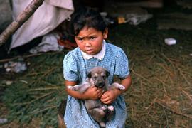 Girl holding a puppy