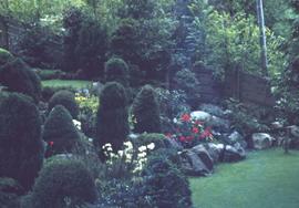 Garden surrounded by trees and flowers