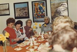 Louis Brier home gift shop volunteers