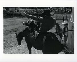 [Cowboy Riding a Horse]