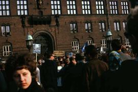 Crowd of people possibly at a rally