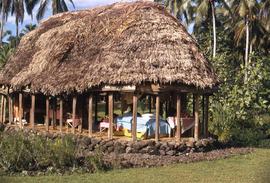 Oval shaped house with a thatched roof held up by beams and one wall