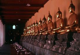 Row of golden buddha statues at Wat Pho