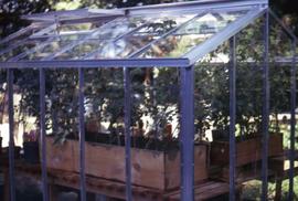 Plants in wooden planters in a greenhouse