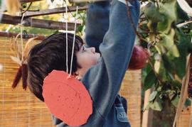 Unidentified boy decorating sukkah