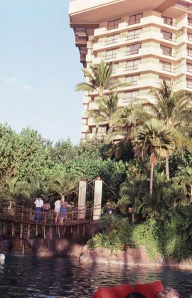 Building, which is likely a hotel, in the background with trees and people crossing over a rope b...