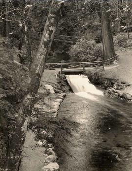 Stanley Park, Vancouver, British Columbia