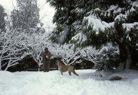 Dr. Irving Snider and a dog standing in a snowy forest