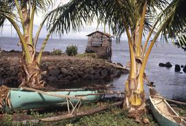 Small rocky inlet with two boats on land