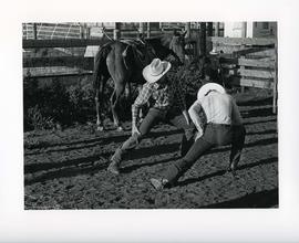 [Cowboys Stretching]