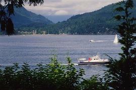 [Looking through trees and bushes out at the water and there are boats on the water]