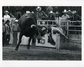 Bruce Ford, Rocky Lyle, Ted, Bill Madden of Jim Dandy, Gerry