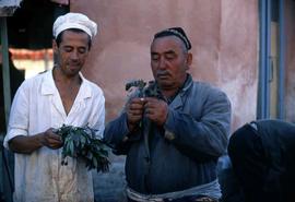 Fish vendors holding plants