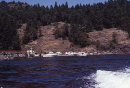 Tree-lined hill with docks and boats