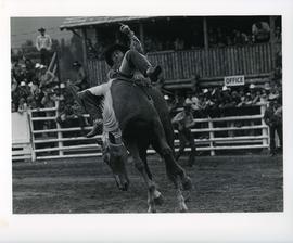 [Cowboy Riding a Galloping Horse]