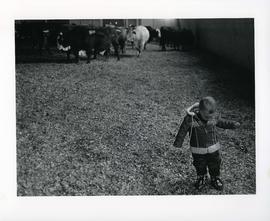 [Child and Cows]