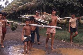 Group of people carrying balancing sticks with thatched baskets at the end