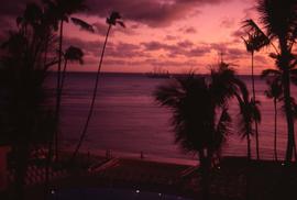 Sunset with trees in the foreground and a boat in the background