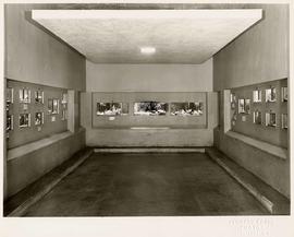 Interior, Vancouver Aquarium, Stanley Park, Vancouver, British Columbia