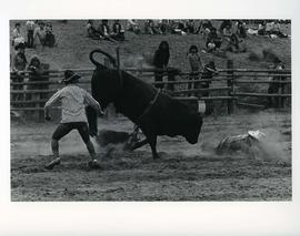 [Two Cowboys and a Bull]