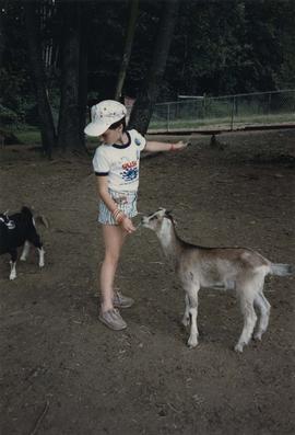 Child in petting zoo