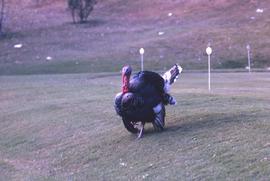 Turkey on a golf course