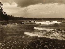 Shoreline, Stanley Park, Vancouver, British Columbia