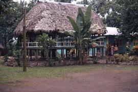 Group of people standing next to a two-story thatched roof house