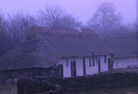 White cottage with a thatched roof