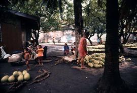 Women and children and an unidentified variety of fruit/vegetable