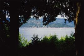 [View looking through trees at the water from the back deck of the Snider's home]