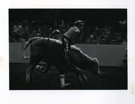 [Young Cowboy Riding a Bull]