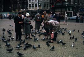 Group of people feeding pigeons in a square