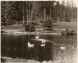 Lost Lagoon, Stanley Park, Vancouver, British Columbia